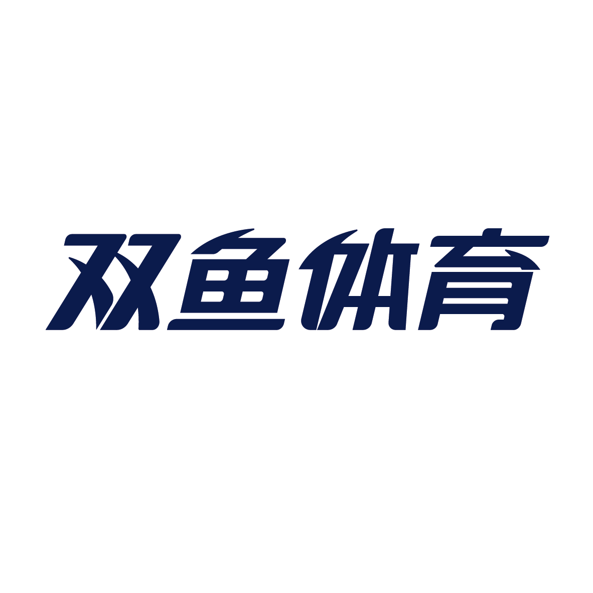 广州双鱼体育用品集团有限公司产供销协同数字化建设项目招标公告